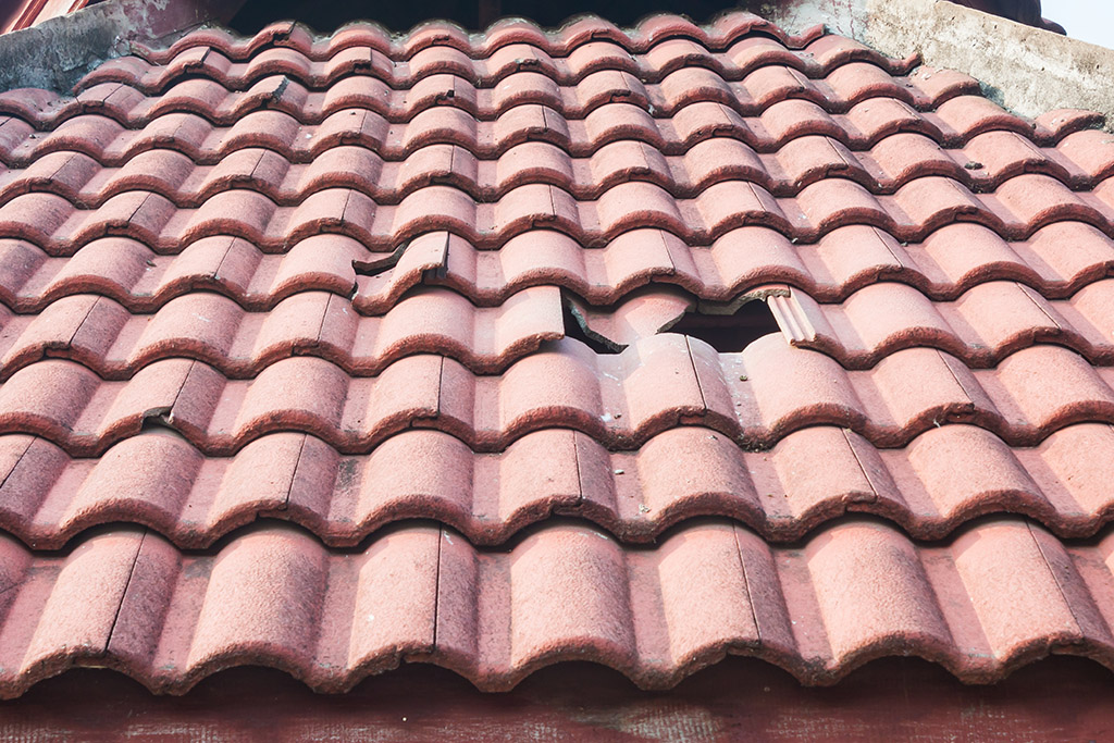 6 Signs of an Unhealthy Roof and What to Do About It